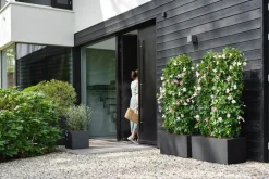 Intratuin Elho Pflanzkübel Vivo 39 x 78 x 37,5 cm schwarz| Pflanzkübel|Pflanzkübel & Blumenkübel