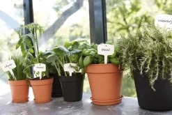 Intratuin Elho Untersetzer green basics schwarz D 25,5 H 3,6 cm| Untersetzer