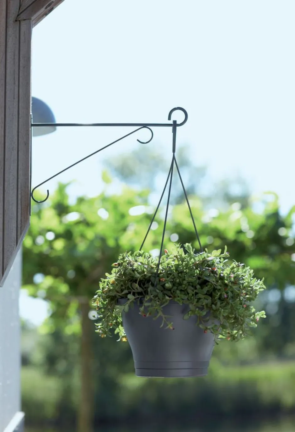 Intratuin Elho Wandhaken Eleganz 30 cm anthrazit| Haken & Bügel