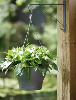 Intratuin Elho Wandhaken Eleganz 30 cm anthrazit| Haken & Bügel