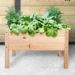 Intratuin Esschert Design Hochbeet für Kinder 78,8 x 40,6 x 50 cm| Anzuchtkästen & Mini-Gewächshäuser