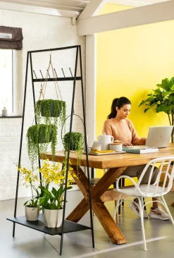 Intratuin Everydays by Hängetopf Dexter schwarz 35 x 14 x 65 cm| Blumenampeln & Hängetöpfe|Blumentöpfe & Pflanzgefäße