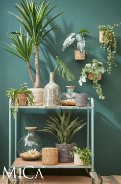 Intratuin Everydays by Pflanzkorb Atlantic Natur D 14 cm H 14 cm| Pflanzkörbe|Pflanzkörbe