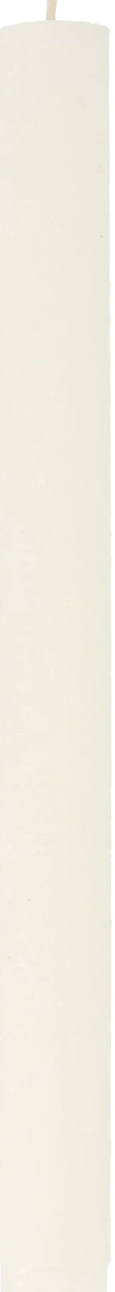 Intratuin Everydays by tafelkaars Rustic elfenbein 10 Std. D 2 H 25 cm| Stabkerzen