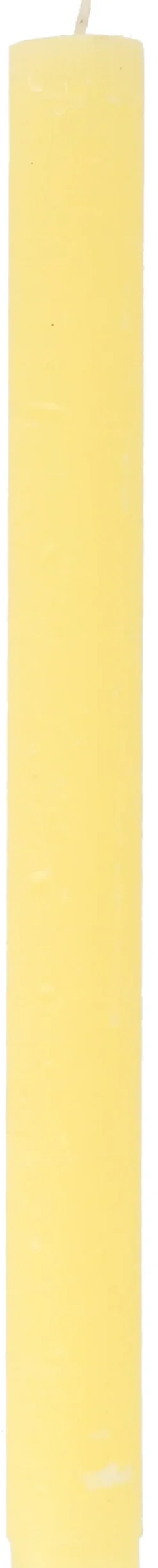 Intratuin Everydays by tafelkaars Rustic gelb 10 Std. D 2 H 25 cm| Stabkerzen