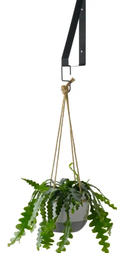 Intratuin Everydays by Wandhaken schwarz 23,5 x 2,5 x 26 cm| Wandregale & Hakenleisten