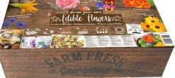 Intratuin Florex Farm Fresh Essbare Blüten Anzucht-Set| Kräutersamen|Saatgut