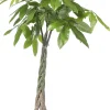 Intratuin Geldbaum (Pachira aquatica) D 27 H 150 cm| Große Pflanzen|Grünpflanzen