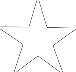 Intratuin House of Seasons Weihnachtsstern schwarz 50 x 0,5 x 48 cm| Weihnachtssterne