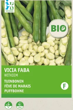 Intratuin Ackerbohne (Vicia faba 'Weißkeimling') (BIO) Samen| Gemüsesamen|Saatgut