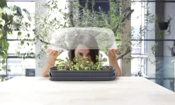 Intratuin Anzuchtkasten mit Deckel grau 39,1 x 25,7 x 18,5 cm| Anzuchtkästen & Mini-Gewächshäuser