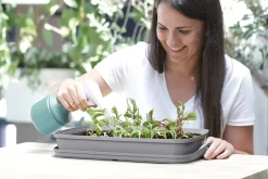 Intratuin Anzuchtkasten mit Deckel grau 39,1 x 25,7 x 18,5 cm| Anzuchtkästen & Mini-Gewächshäuser