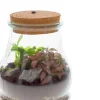 Intratuin Arrangement Terrarium mit LED-Korken D 15 H 19 cm| Kleine Zimmerpflanzen|Pflanzenarrangements