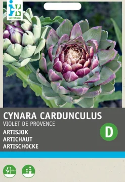 Intratuin Artischocke (Cynara cardunculus 'Violette de Provence') Samen| Gemüsesamen|Saatgut