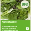 Intratuin Asiatischer Mesclun (BIO) Samen| Gemüsesamen|Saatgut