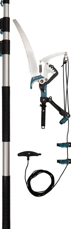 Intratuin Astschere mit Teleskopstange| Astscheren|Schneiden & Stutzen