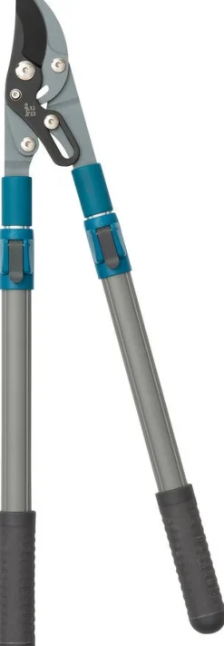 Intratuin Astschere verstellbar blau/grau| Astscheren|Schneiden & Stutzen