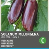 Intratuin Aubergine (Solanum melongena 'Violetta Lunga 2') Samen| Gemüsesamen|Saatgut