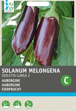 Intratuin Aubergine (Solanum melongena 'Violetta Lunga 2') Samen| Gemüsesamen|Saatgut
