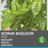 Intratuin Basilikum großblättrig (Ocimum basilicum) Samen| Kräutersamen|Saatgut