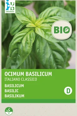 Intratuin Basilikum (Ocimum basilicum 'Italiano Classico') (BIO) Samen| Kräutersamen|Saatgut
