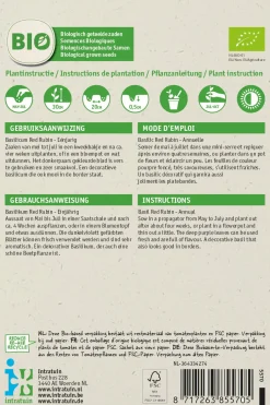 Intratuin Basilikum rot (Basilicum 'Red Rubin') (BIO) Samen| Kräutersamen|Saatgut
