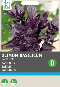 Intratuin Basilikum violett (Ocimum basilicum 'Dark Opal') Samen| Kräutersamen|Saatgut