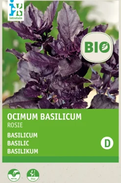 Intratuin Basilikum violett (Ocimum basilicum 'Rosie') (BIO) Samen| Kräutersamen|Saatgut