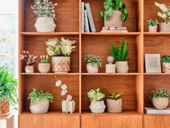 Intratuin Beistelltisch Eza natur 30 x 30 x 85 cm| Beistelltische|Beistelltische