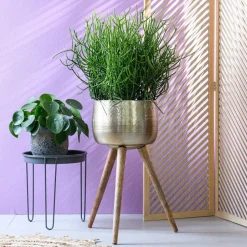 Intratuin Beistelltisch Tray schwarz D 32 cm H 34 cm| Beistelltische|Beistelltische