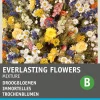 Intratuin Blumensamen-Mischung Trockenblumen| Saatgut|Blühende Pflanzen