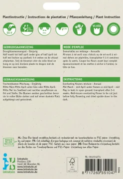 Intratuin Blumensamen-Mischung Trockenblumen| Saatgut|Blühende Pflanzen