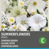 Intratuin Blumensamen-Mischung Sommerblumen weiß| Blühende Pflanzen|Saatgut