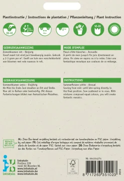 Intratuin Blumensamen-Mischung Sommerblumen weiß| Blühende Pflanzen|Saatgut