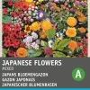 Intratuin Blumensamen-Mischung Japanischer Blumenrasen| Saatgut|Blühende Pflanzen
