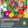 Intratuin Blumensamen-Mischung Kletterpflanzen| Saatgut|Blühende Pflanzen