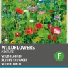 Intratuin Blumensamen-Mischung Wildblumen| Saatgut|Blühende Pflanzen