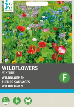 Intratuin Blumensamen-Mischung Wildblumen| Saatgut|Blühende Pflanzen