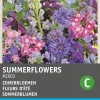 Intratuin Blumensamen-Mischung Sommerblumen blau| Saatgut|Blühende Pflanzen