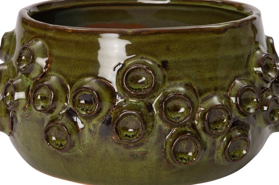 Intratuin Blumentopf Dante grün D 21,5 H 11 cm| Blumentöpfe|Blumentöpfe & Pflanzgefäße