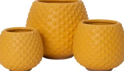 Intratuin Blumentopf Din gelb D 11,5 H 10 cm| Blumentöpfe|Blumentöpfe & Pflanzgefäße