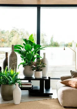 Intratuin Blumentopf Firenze grün D 48 H 48 cm| Blumentöpfe & Pflanzgefäße|Blumentöpfe