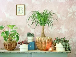 Intratuin Blumentopf Helle creme D 23 H 16,5 cm| Blumentöpfe & Pflanzgefäße|Blumentöpfe