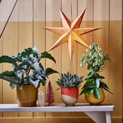 Intratuin Blumentopf Jade rot D 24,3 H 24 cm| Blumentöpfe|Blumentöpfe & Pflanzgefäße