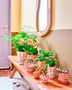 Intratuin Blumentopf Julian rosa D 8 H 7 cm| Blumentöpfe & Pflanzgefäße|Blumentöpfe