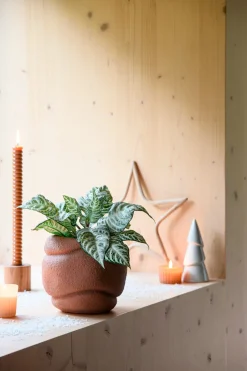 Intratuin Blumentopf Lilo terracotta D 17,5 H 16 cm| Blumentöpfe|Blumentöpfe & Pflanzgefäße