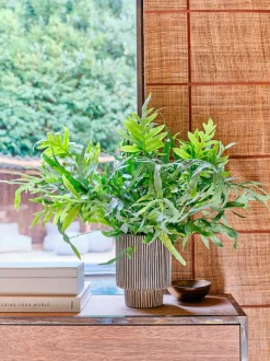 Intratuin Blumentopf Milan schwarz D 17 H 22 cm| Blumentöpfe & Pflanzgefäße|Blumentöpfe