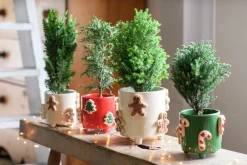 Intratuin Blumentopf mit Füßen Jiya Zuckerstange grün D 13 H 11 cm| Blumentöpfe & Pflanzgefäße|Blumentöpfe