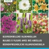 Intratuin Blumenzwiebel-Mischung bienenfreundliche Blumen 36 St.| Frühlings-Blüher|Blumenzwiebeln