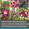 Intratuin Blumenzwiebel-Mischung insektenfreundliche Blumen 40 St.| Frühlings-Blüher|Blumenzwiebeln